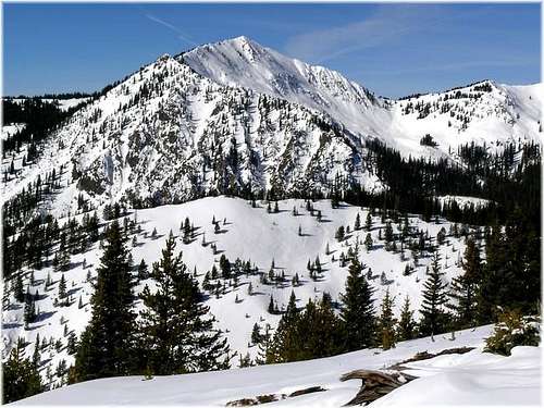 Bald Mountain-12,136-ft from...