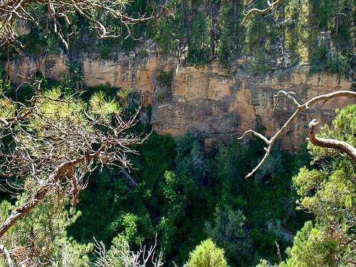 Spring Canyon Limestone