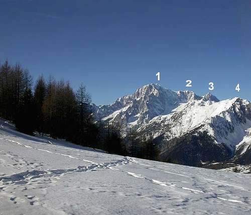 (1) il Monte Bianco (4810...