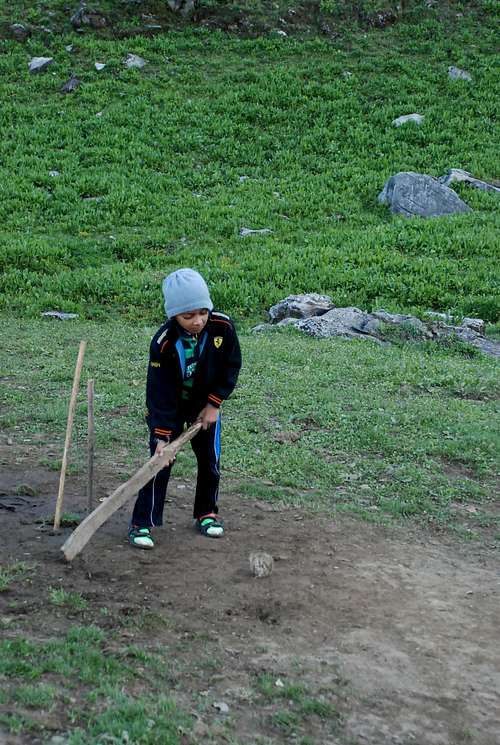 Cricketing Skills
