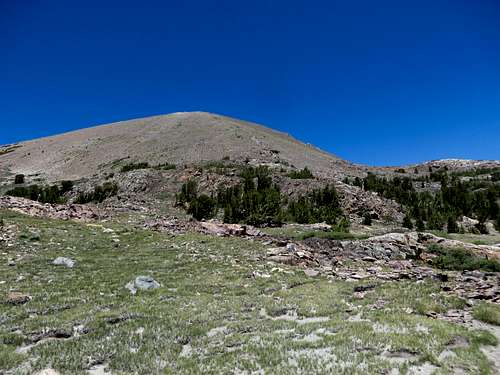 Use trail up to Mount Gibbs