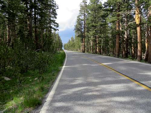 Back to the street - Tioga Pass