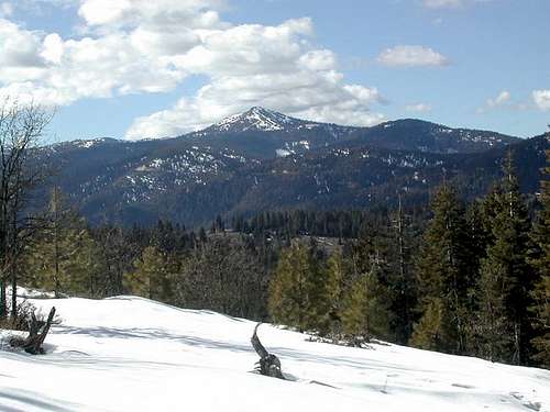 Mt. Ashland from the meadows...