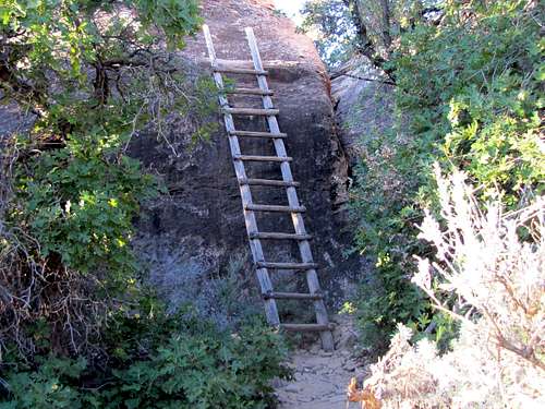 Ladder on Cave Spring Trail