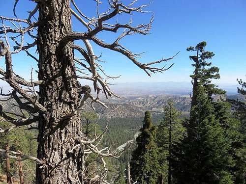 High Desert Views