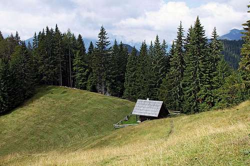 Brvoge alpine meadow