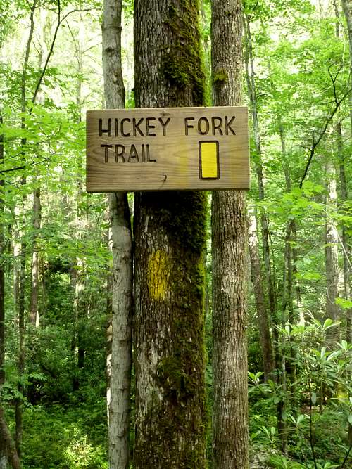Hickey Fork and Pounding Mill Trails
