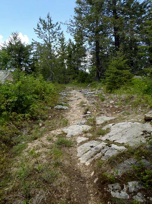Kalispell Rock - Trail #103