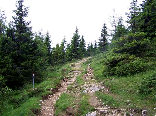 Hiking trail on Zweite Grebenzen Höhe