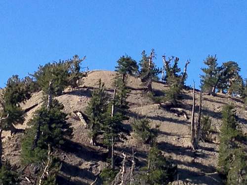 Summit of Baden-Powell