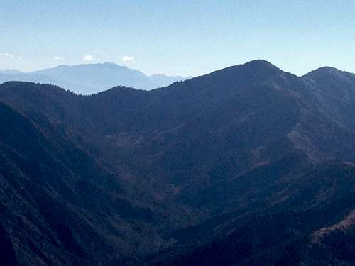 San Gorgonio in the distance from Baden Powell