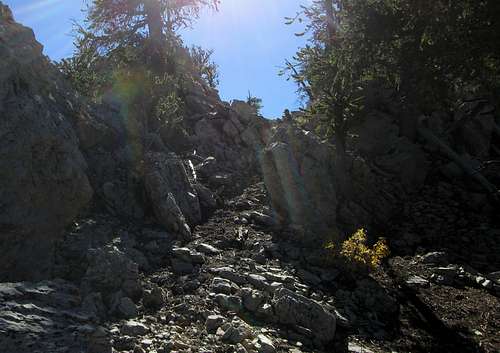 Shingle Peak (NV)