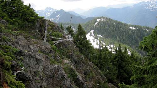 Mt Spencer S Ridge