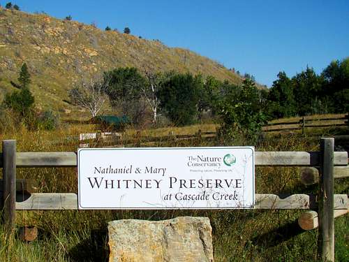 The Whitney Preserve