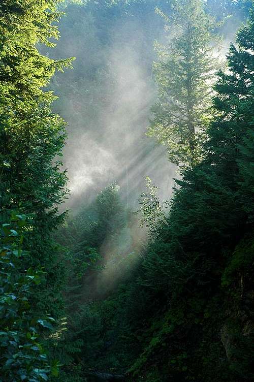 Beams of Light through Waterfall Mist
