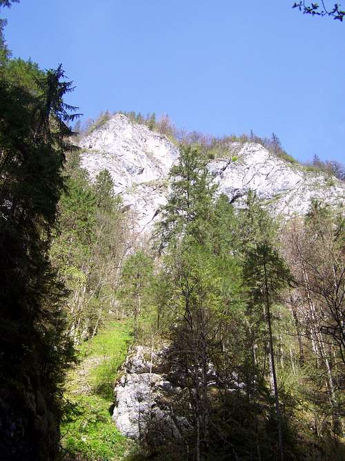 Rocks above Ordincuşei Gorge