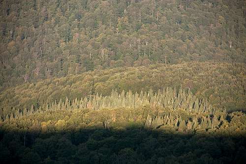 Wolosatka valley wilderness