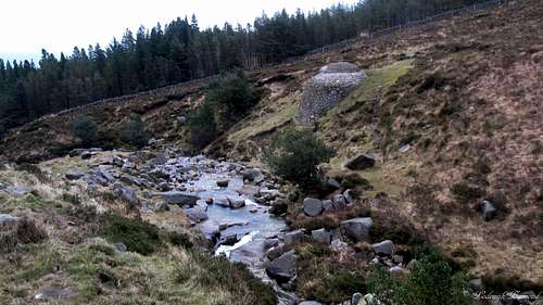 Glen River Path at 350m