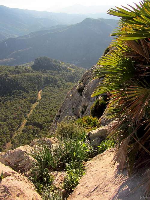 View towards El Chorro from Rogelio