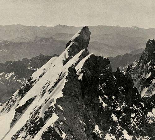 Vittorio Sella - Les Alpes