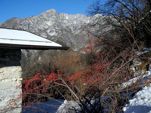 Winter berries and Alpi di Ledro from the church of San Giovanni