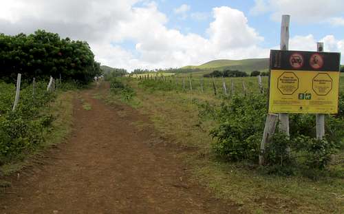 Terevaka Trail