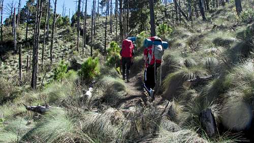 Trail to Acatenango