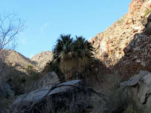 Hellhole Canyon Trail