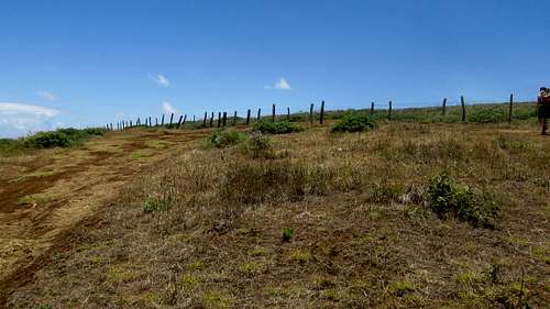 Maunga Pukatikei - we crawled under this fence