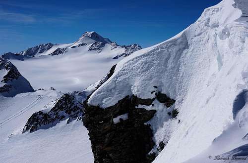 Wildspitze (3768m) as seen from Schwarze Schneid central summit (3250m)