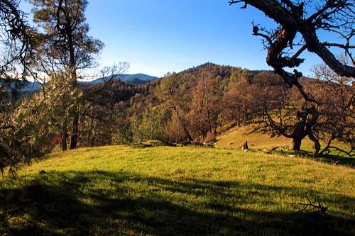 Harbin Mtn. south slope