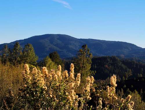 Cobb Mtn. from the north