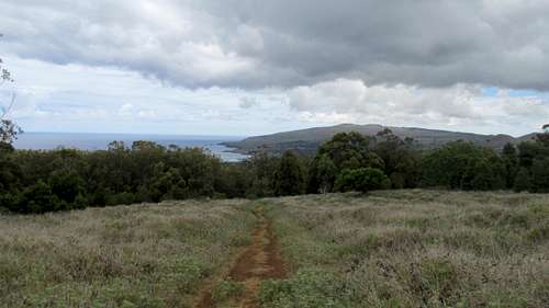 Rano Kau Trail