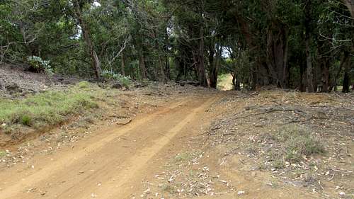 Rano Kau summit road