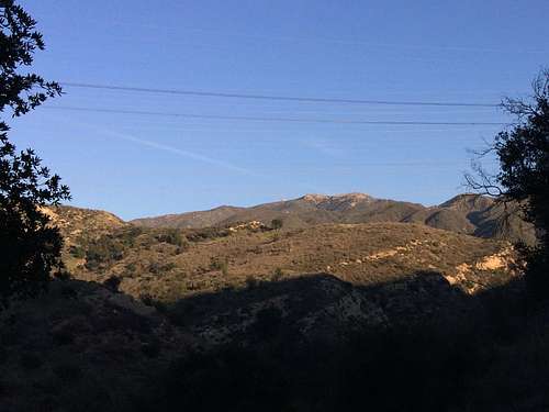 Los Pinetos Peak from Elsmere Canyon Trail