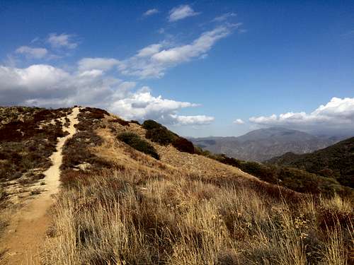 Descending along the firebreak