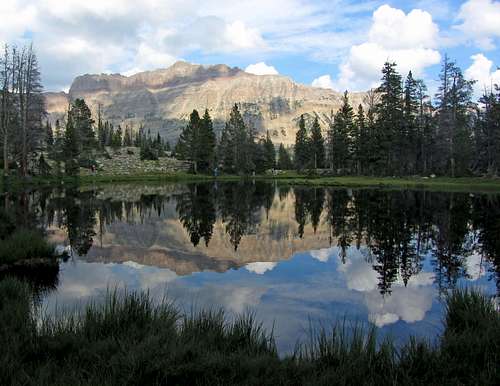 Hayden pond reflection