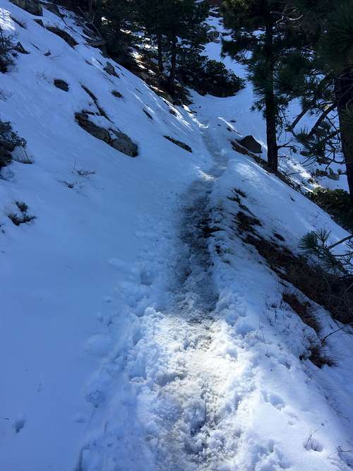 Snow on Mt. Williamson Trail