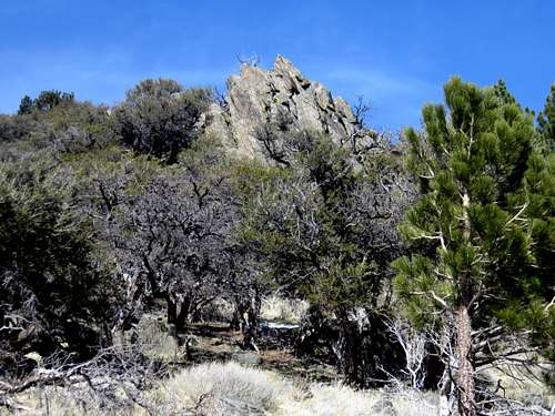Rock formation in the forest along the southeast ridge