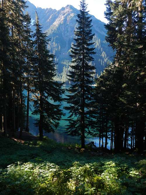 Pierce Lake Through Trees