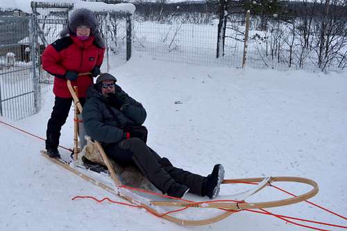 Dog-sledding in arctic Finland