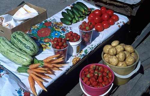 Great selection of fresh food...