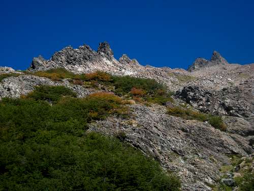 Looking up towards Pico Turista