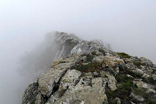 On the summit ridge (Serra delle Ciavole)