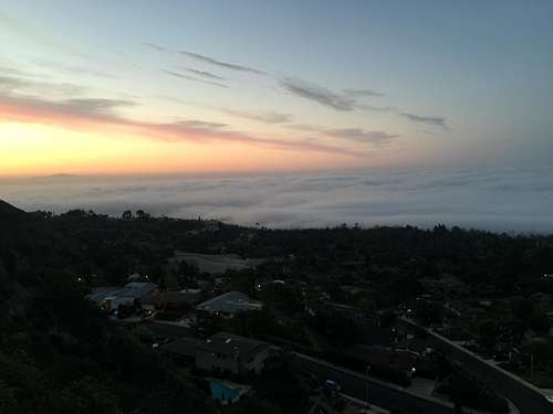 Another picture of Altadena and fog, from Echo Mountain Trail