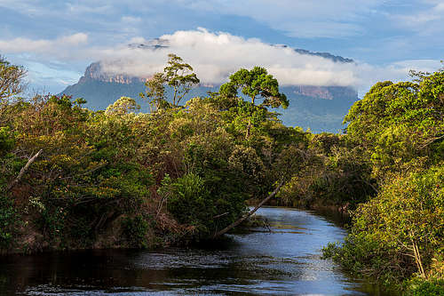 Yunek river and the Upuigma tepui