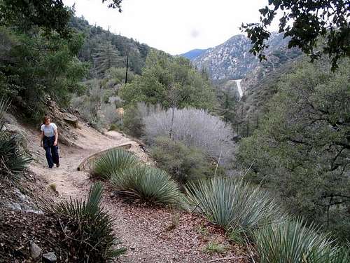 Along the Colby canyon trail,...