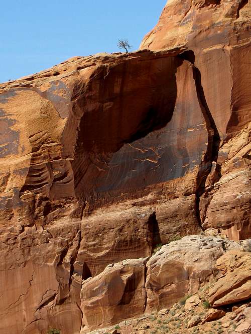 Views near Jeep Arch