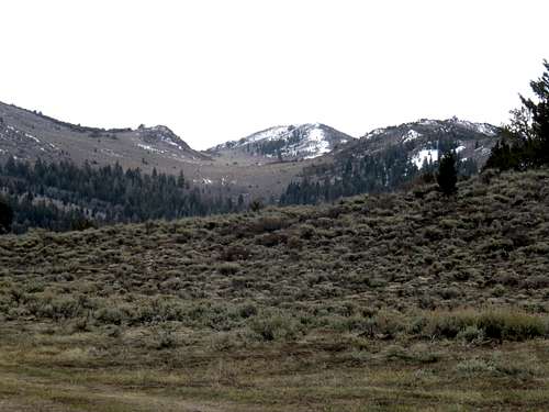 South Monitor Pass Peak from the north