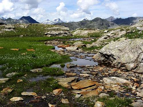 The high alpine wetlands around the Malersee